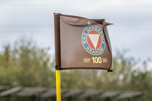 里程碑！武切维奇成为现役第15位得分破17000的球员