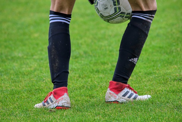 篮球湖人核心球员连续得分上双