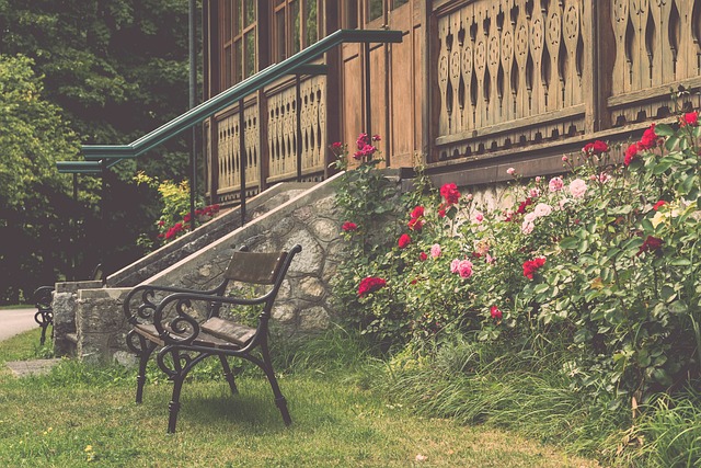 拯救球队 拯救球队