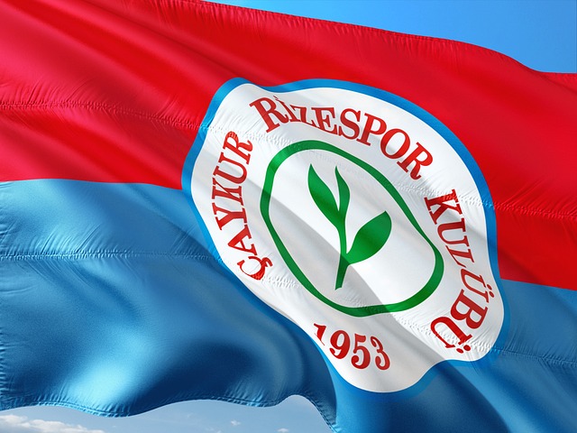 繼續展示了 繼續展示了