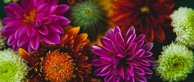 何影响球队 何影响球队