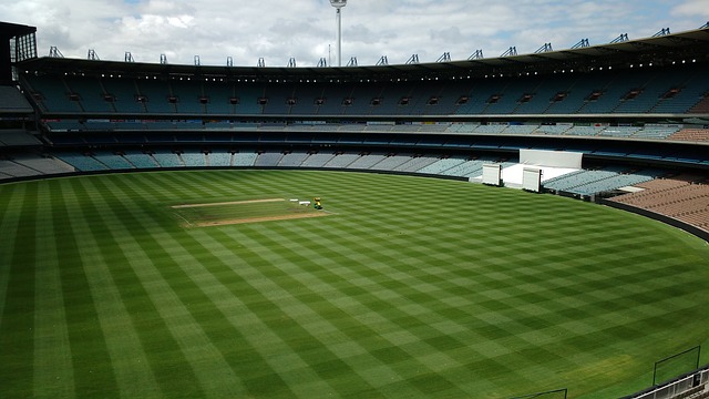 在这个快节 在这个快节