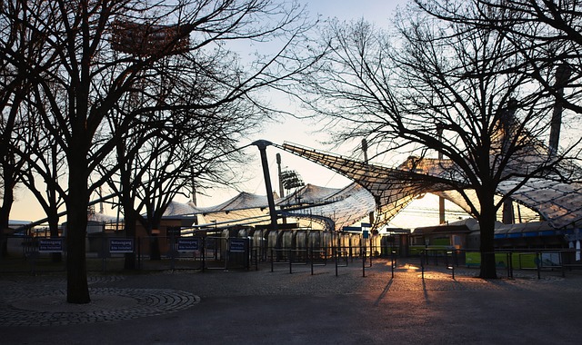 为了实现中 为了实现中