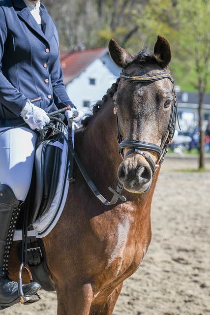 的原因可能 的原因可能