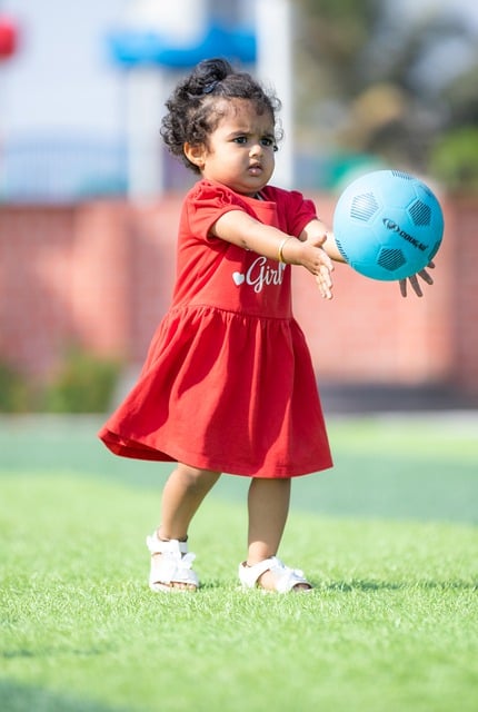 的崛起引发 的崛起引发