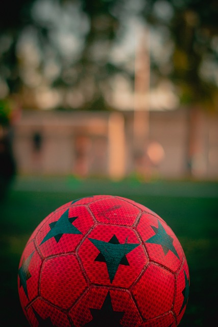 潜力的新星 潜力的新星