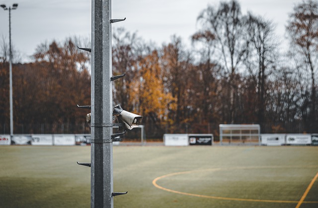 其安保工作 其安保工作