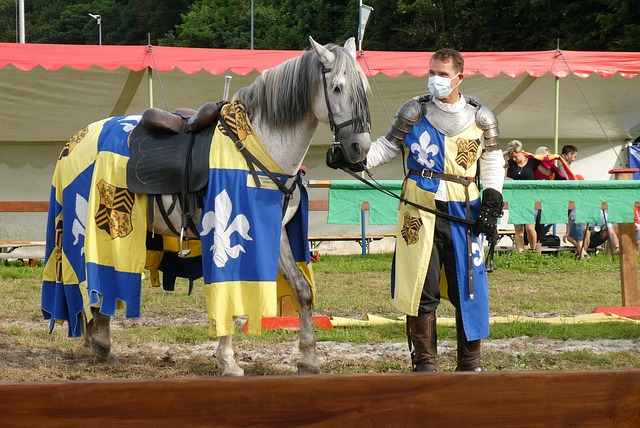 闻再一次引 闻再一次引