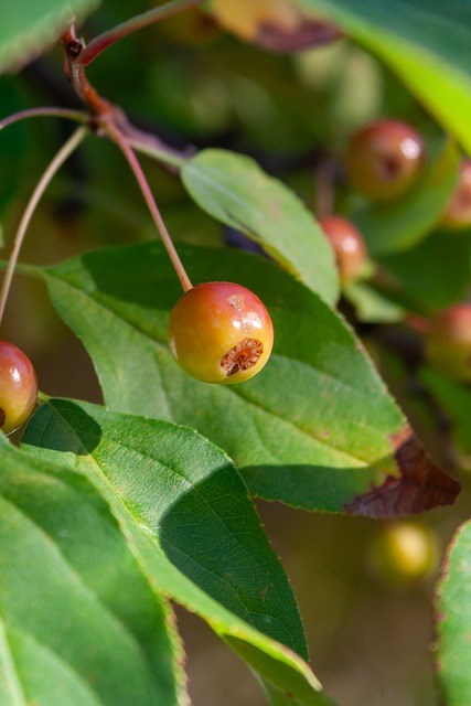 内容必须 内容必须
