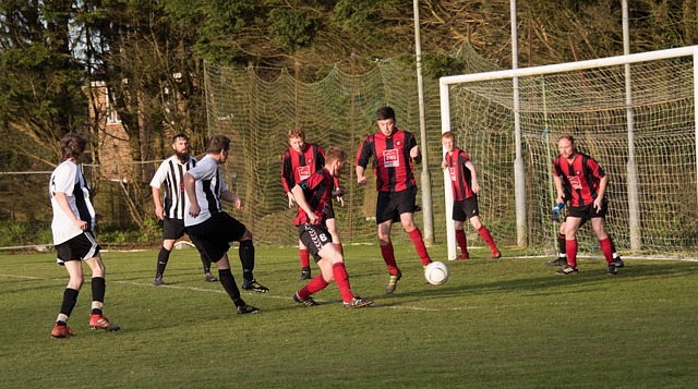 能优势来迅 能优势来迅