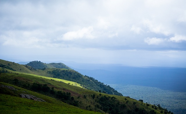 中的专业性 中的专业性