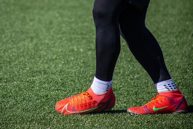 將帶您聚焦 將帶您聚焦