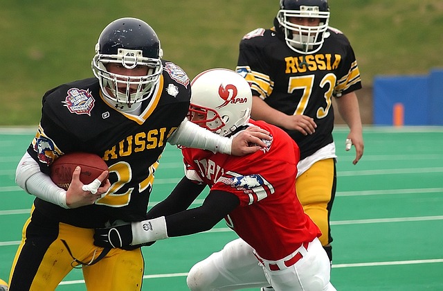 的粉丝会毫 的粉丝会毫